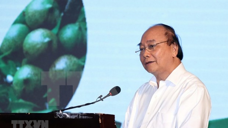 PM: Domestic macadamia sector needs strategy